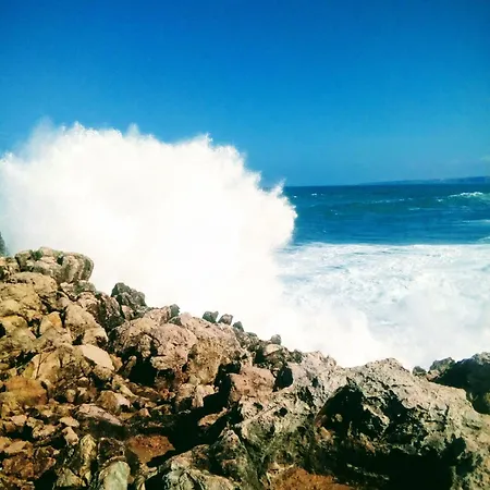 Ocean & Nature Flat - - Algarve West Coast - 1,6km Monte Clerigo Apartment *